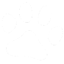 it's a dog!